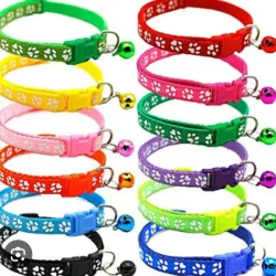 Collares de cinta