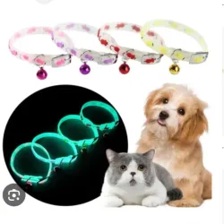 Collares de silicona que alumbran