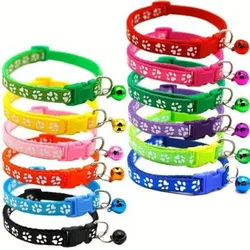 COLLARES DE CINTA TALLA, XS