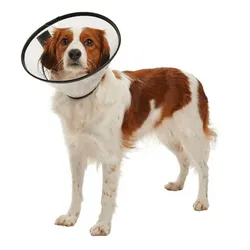 Collares Isbelinos #2