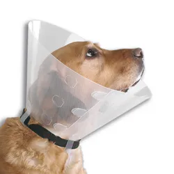 Collares Isbelinos #2+