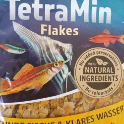 Comida original para peces