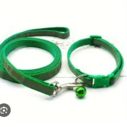 Correa con collar de cinta