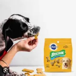 Galletas Biscrok 100g