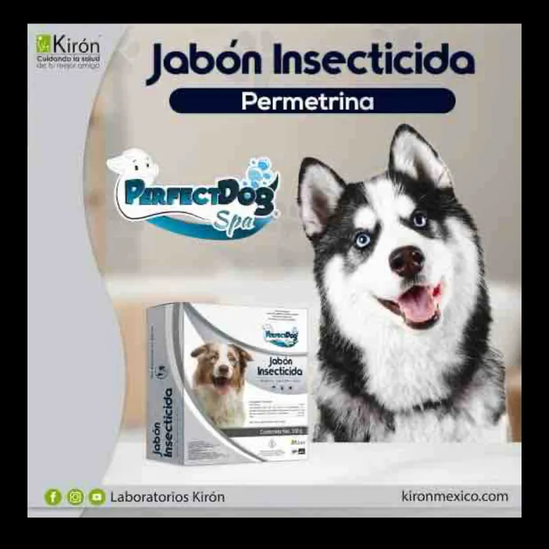 JABÓN INSERTICIDA  