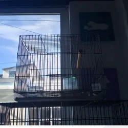 Jaula para aves