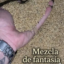Mezcla de alpiste y mijo
