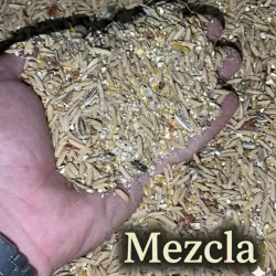 Mezcla 