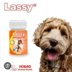 Multivitaminico Lassy