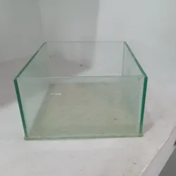 PECERA pequeña 