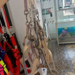 Pechera con correa