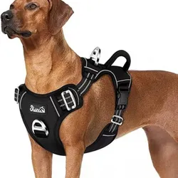 Pechera con Correa Reflextate Original 