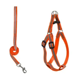 Pechera con correa refrectoras XS