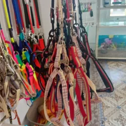 Pechera con correas variadas