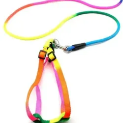 Pecheras con correa Multicolor 