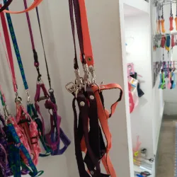 Pecheras con Correas 