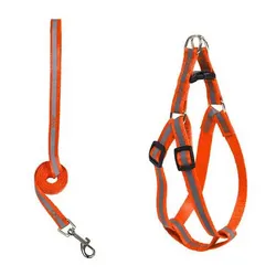 Pecheras con Correas Feas 