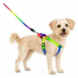 PECHERAS CON CORREAS MULTICOLOR
