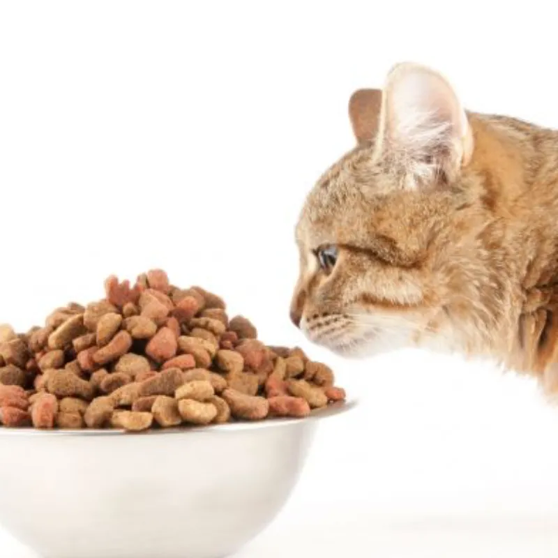 PIENSO A GRANEL PARA GATO