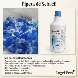 PIPETAS DE  SEBACIL
