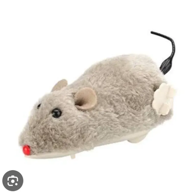 RATON CON CUERDA