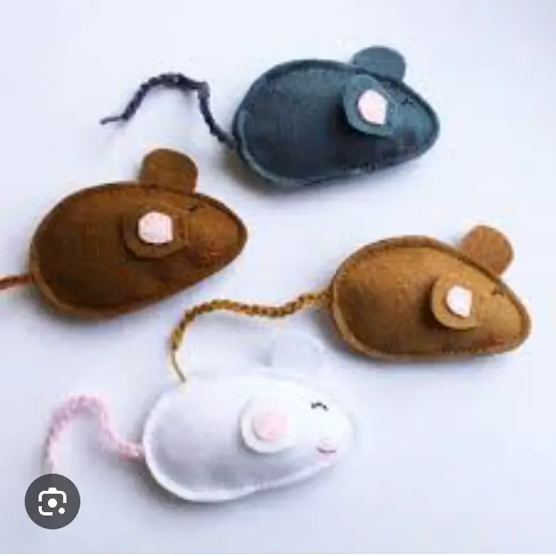 RATON DE TELA