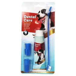 SET DENTAL