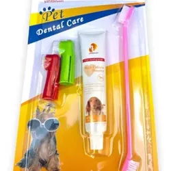 SET DENTAL