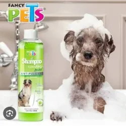 Shampoo antipulgas