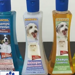 SHAMPOO DESENREDANTE 