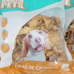 Tiras de carnaza