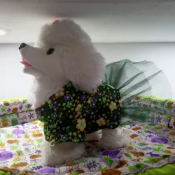 Vestido con tutú