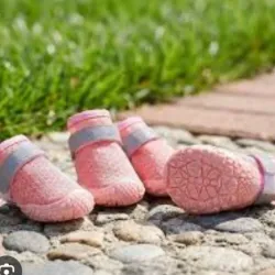 Zapatos