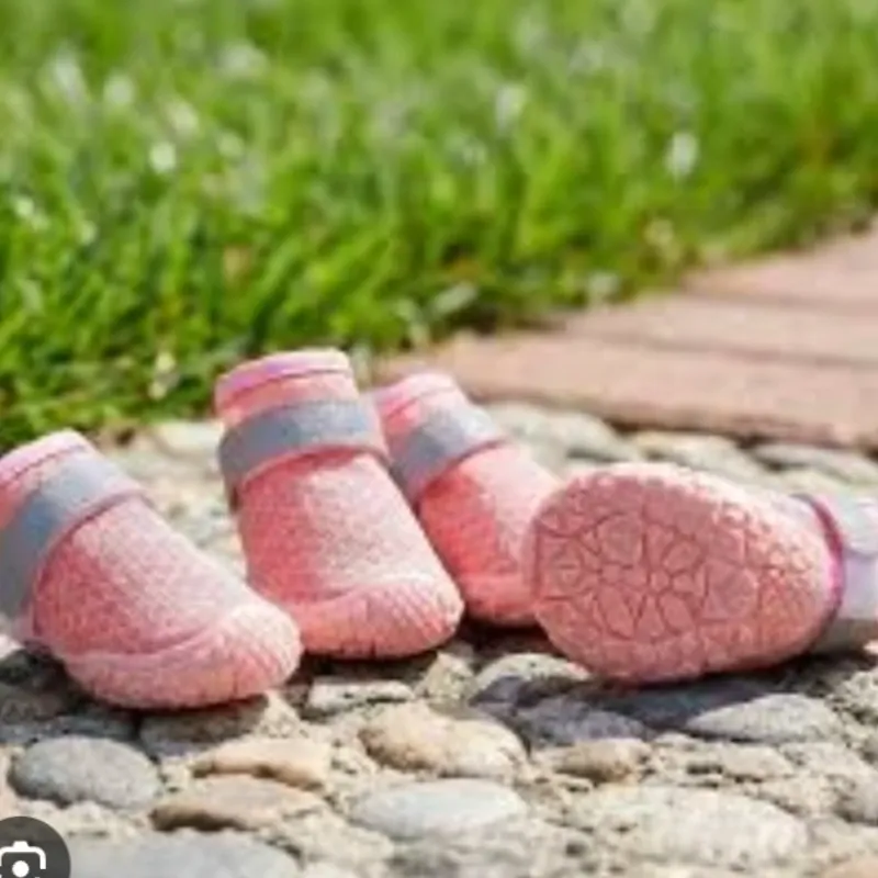 Zapatos
