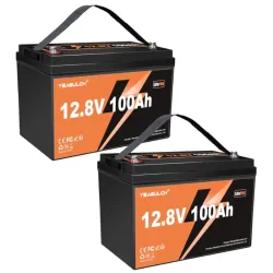 Batería Lifepo4 12v 100A