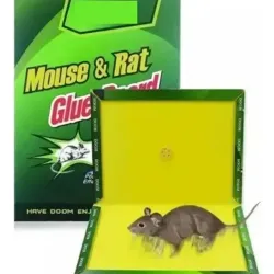 Trampa de pegamento para ratones