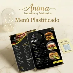 Servicio de plasticado 