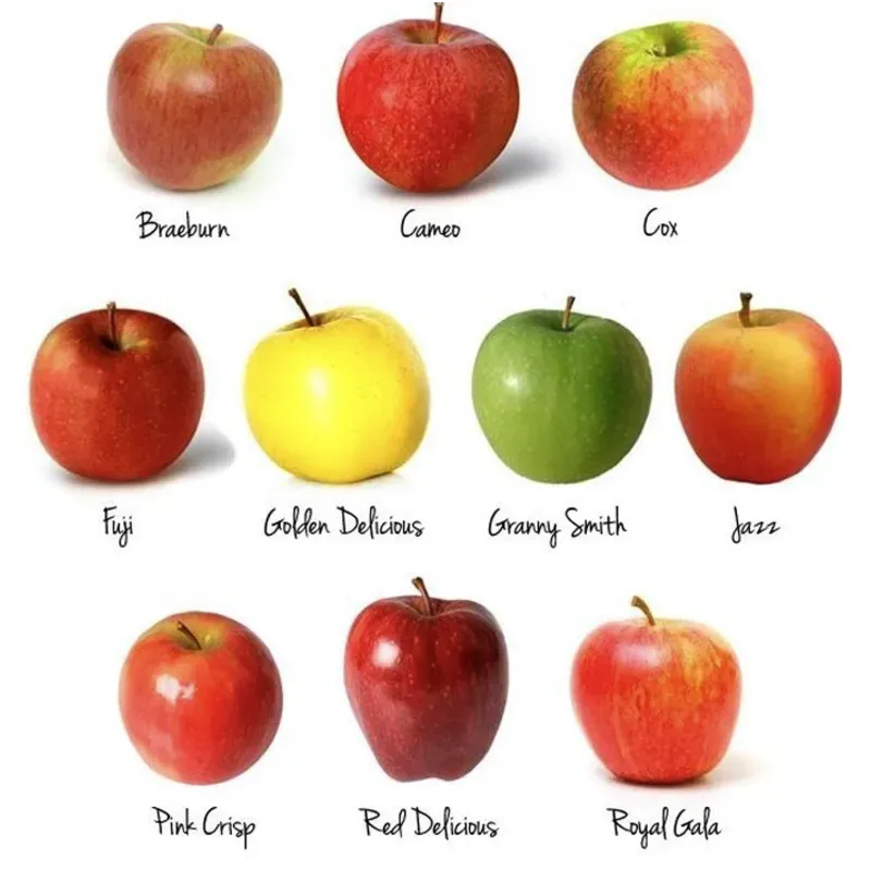 10 MANZANAS 🍎🍎🍎🍎🍎🍎🍎🍎🍎🍎