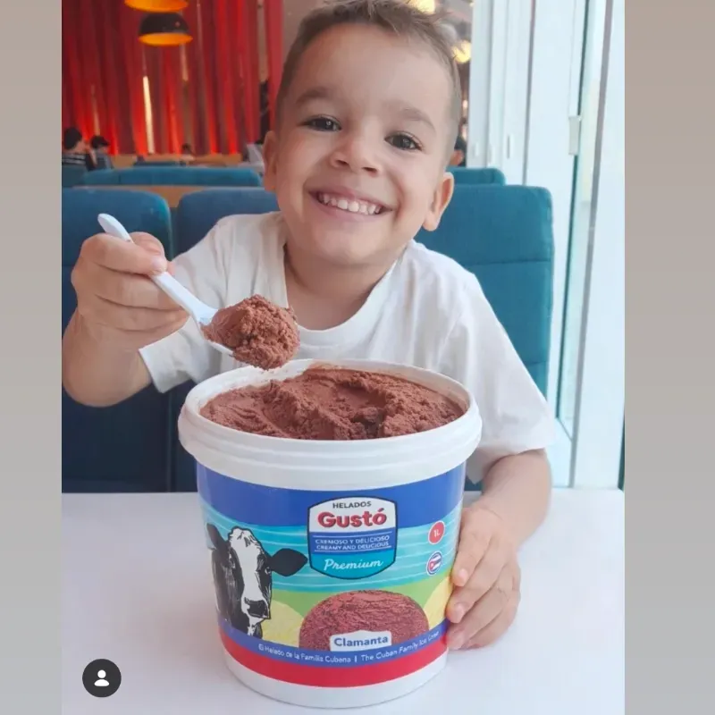 2 HELADOS GUSTO( 1L+ 1L) 🍦🍧🍨