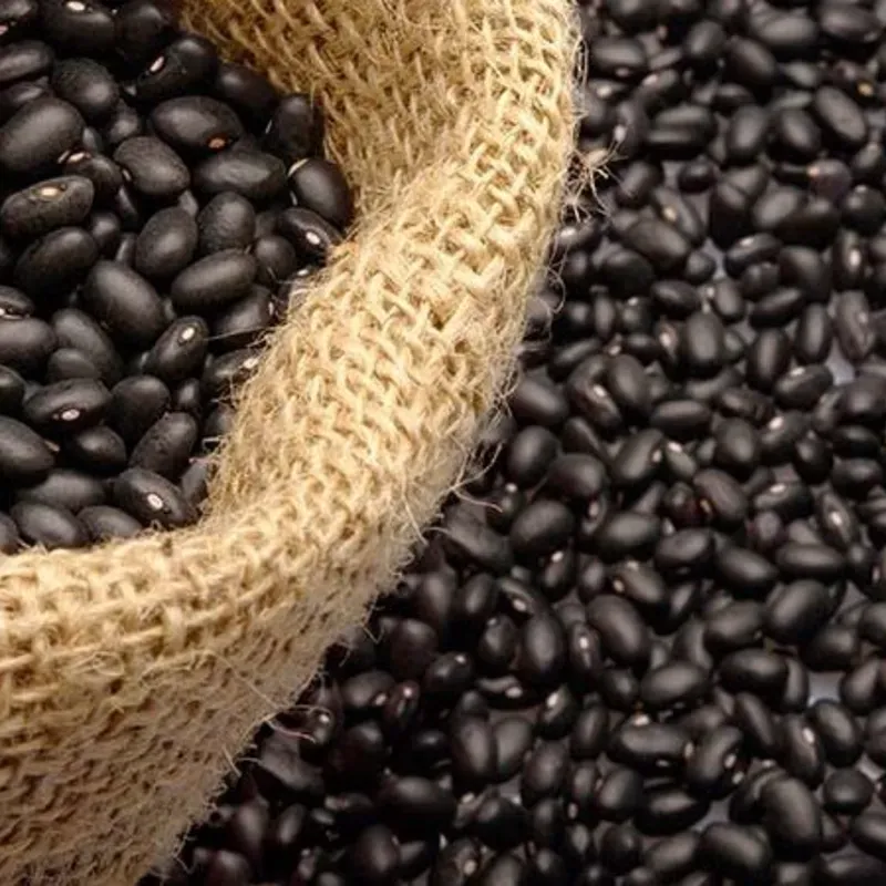 2 PAQUETES DE FRIJOL NEGRO(1KG+1KG) 💪🏿💪🏿