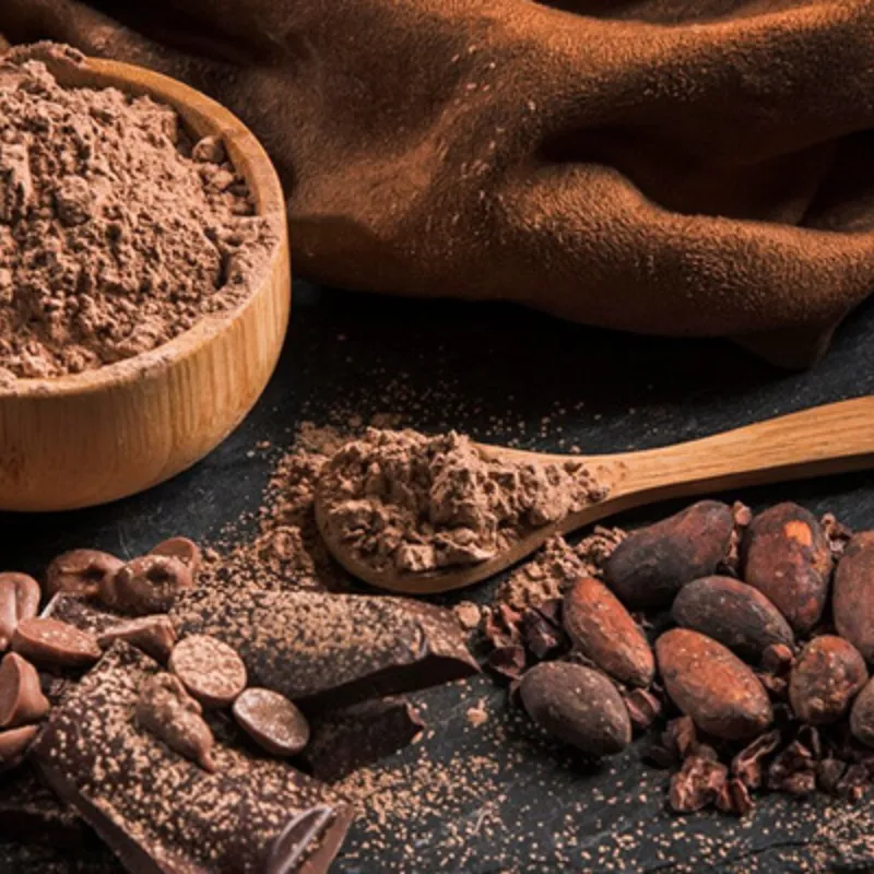 2 POMOS DE CHOCOLATE EN POLVO 
