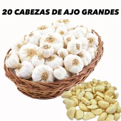 20 CABEZAS DE AJO GRANDE 