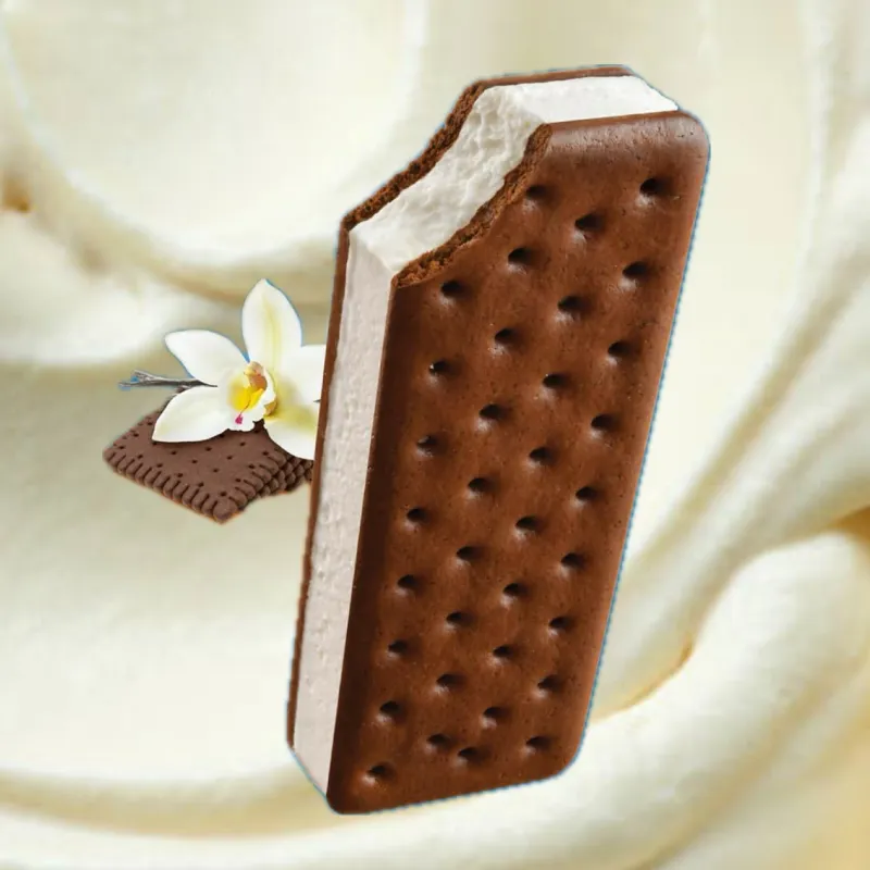 6 SANDWICHES DE HELADO DE VAINILLA ENTRE GALLETAS DE CHOCOLATE 