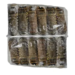 DOCENA DE LANGOSTA GRANDE 🦞