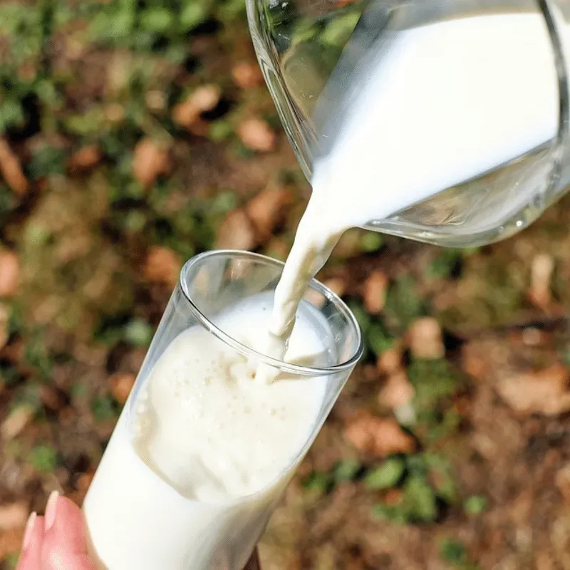 LECHE FRESCA DE VACA ( 2 pomos 1.5 litros)🐄🥛🍼