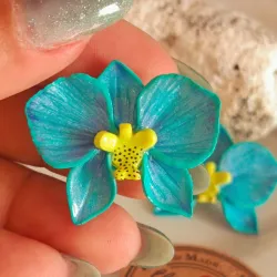 Orquídea Turquesa 