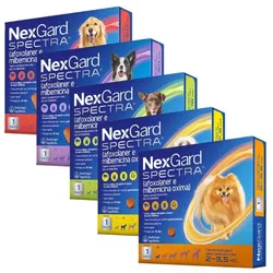NexGard Spectra: Antiparasitario interno y externo para perros🐶
