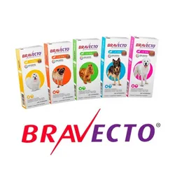 Bravecto: Antiparasitario interno y externo para perros🐶