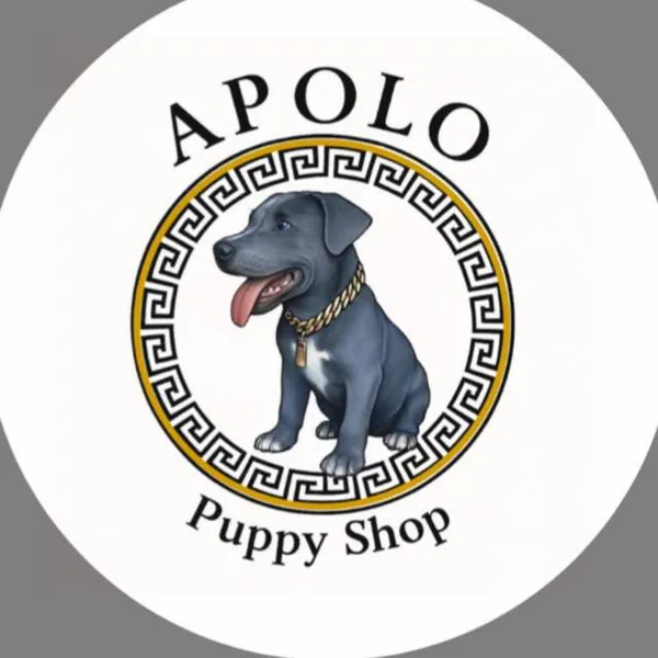 Te ayudamos a conectar con tu mascota ideal💘
Aceptamos pagos en todas las monedas y desde cualquier país🇨🇺