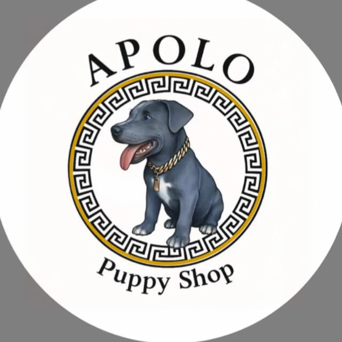 APOLO PUPPY SHOP